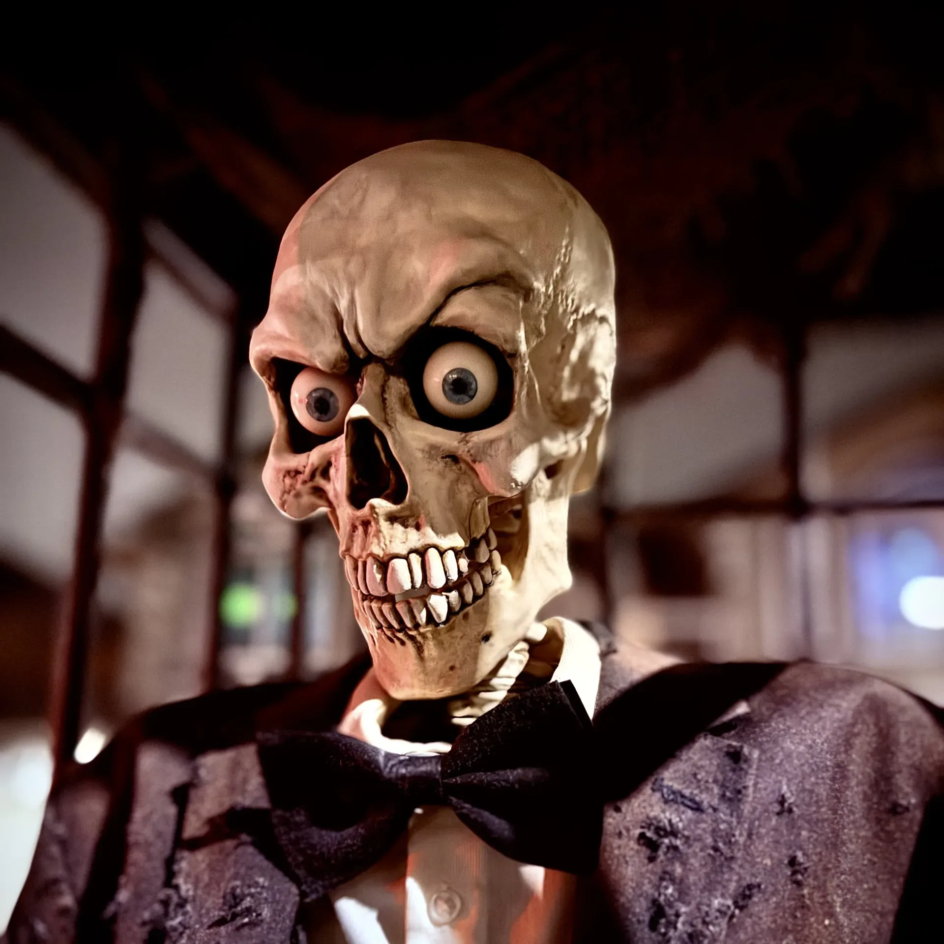 lord-reginald-bonebridge-the-master-of-ceremonies